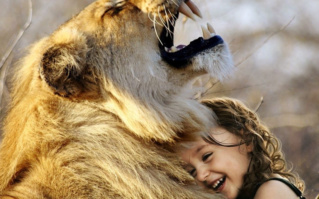 L&rsquo;homme face à l&rsquo;animal