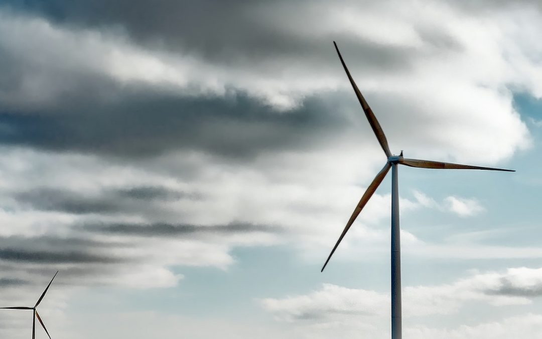 Du libéralisme écologique ?