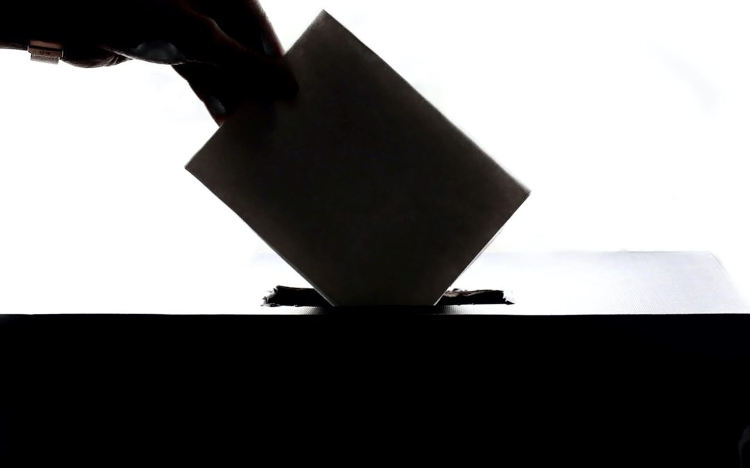 De la pertinence des primaires